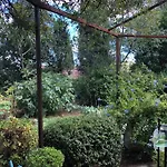 Petite Maison De Charme Avec Piscine Et Pins Centenaires Villa