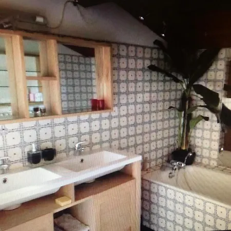 Petite Maison De Charme Avec Piscine Et Pins Centenaires * Nîmes