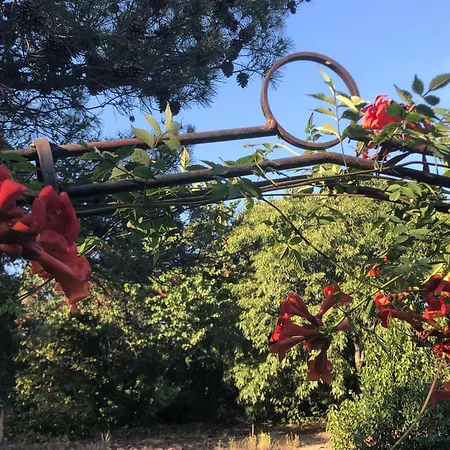 Villa Petite Maison De Charme Avec Piscine Et Pins Centenaires *