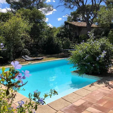 Petite Maison De Charme Avec Piscine Et Pins Centenaires 빌라