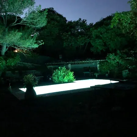 Villa Petite Maison De Charme Avec Piscine Et Pins Centenaires Nimes