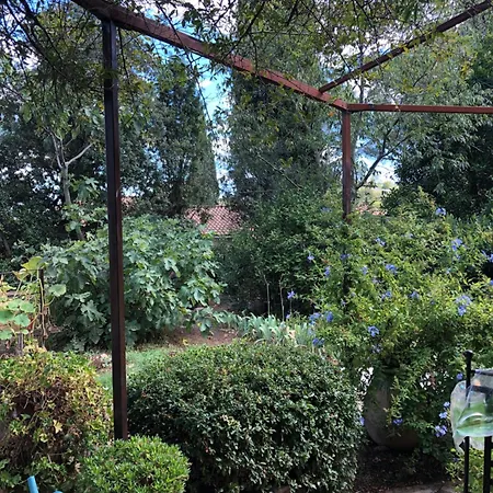 Petite Maison De Charme Avec Piscine Et Pins Centenaires 빌라