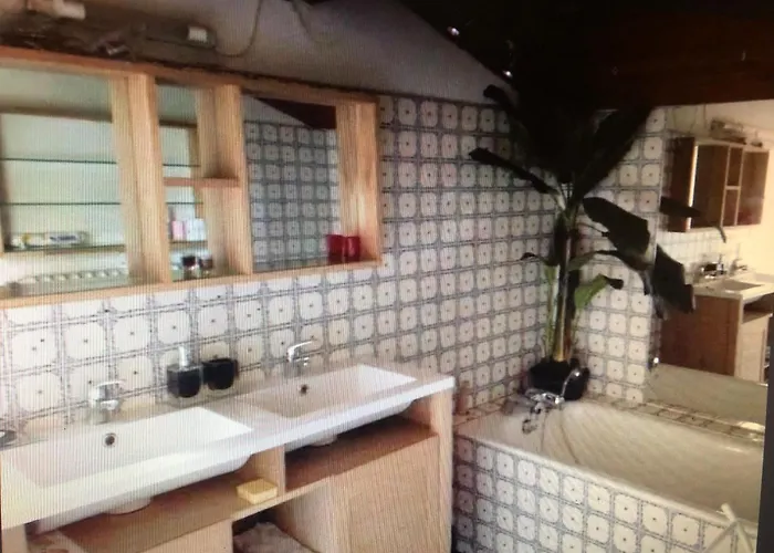 Petite Maison De Charme Avec Piscine Et Pins Centenaires * Nimes