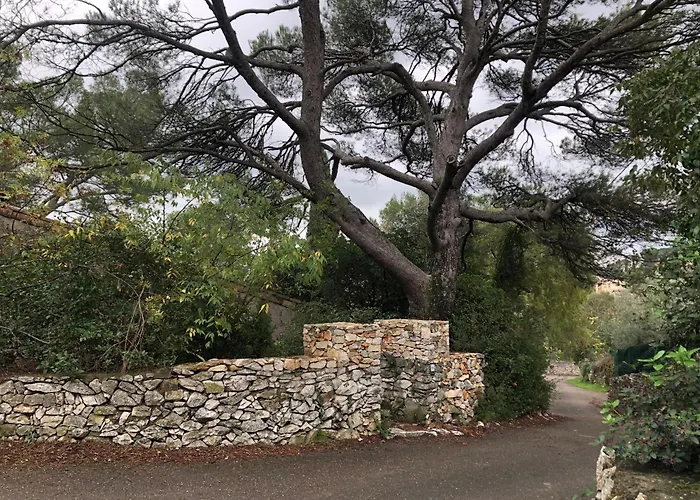 Petite Maison De Charme Avec Piscine Et Pins Centenaires *