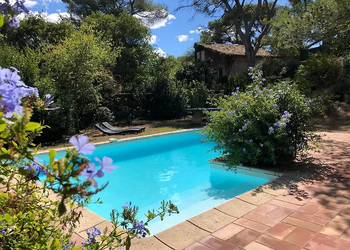 Petite Maison De Charme Avec Piscine Et Pins Centenaires Villa
