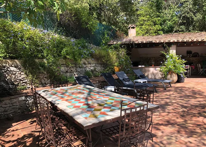 Petite Maison De Charme Avec Piscine Et Pins Centenaires Villa Nimes